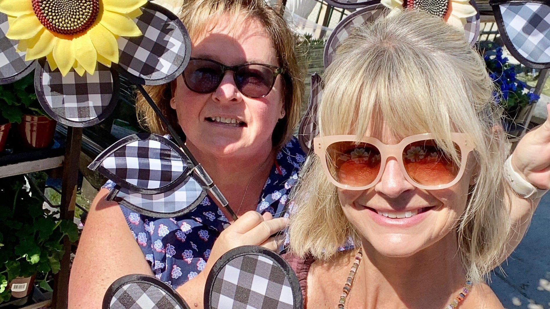 In Praise of the Sunflower: A Golden Icon of Joy, History, and Light