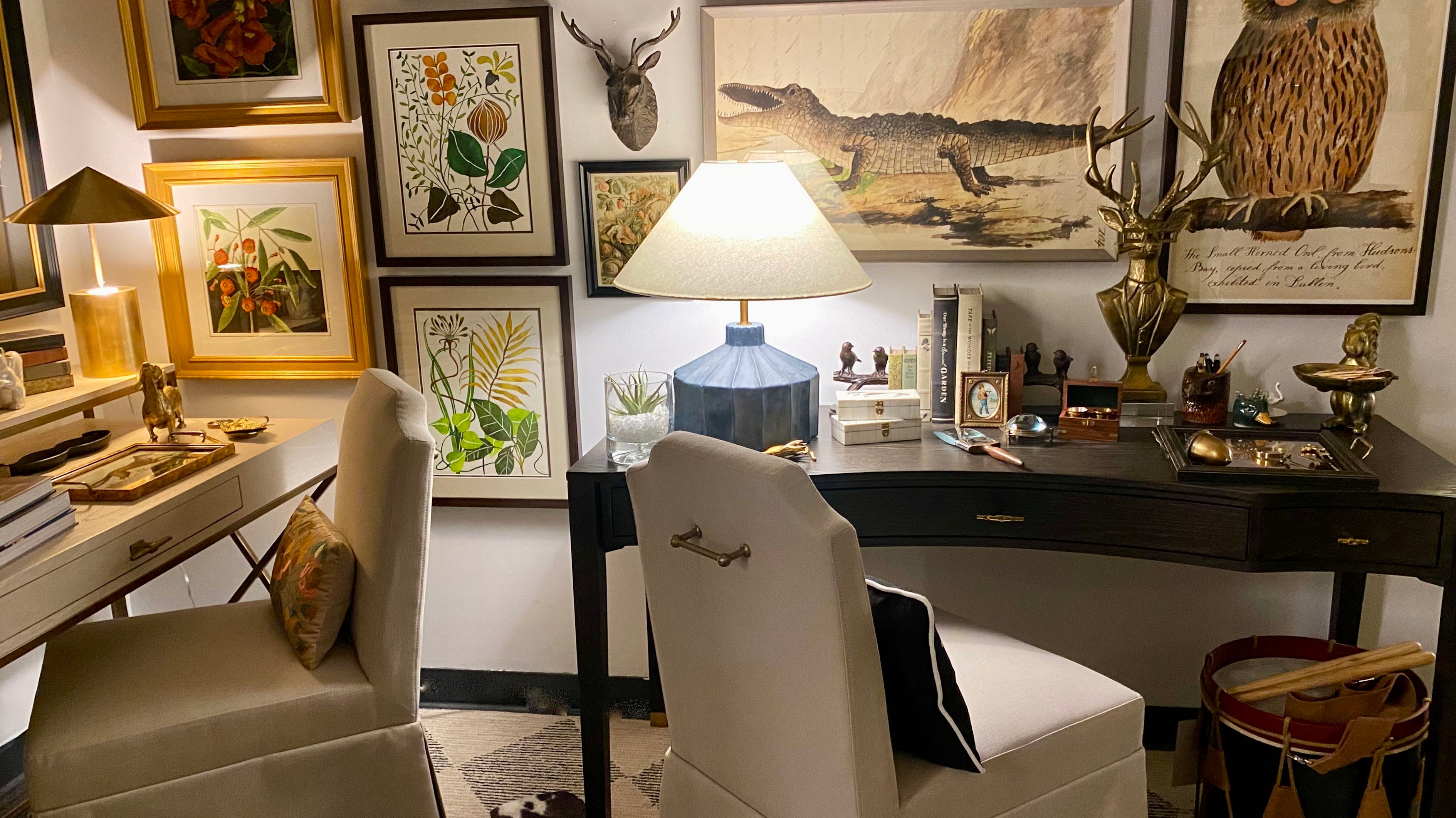 Chronicles of Curiosity