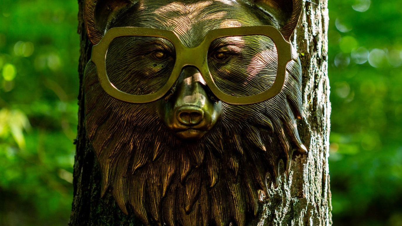 beatrice the bear in the forest