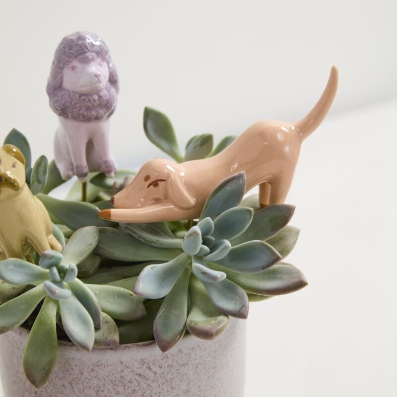 Decorative planter with succulents and small ceramic dogs on a white background