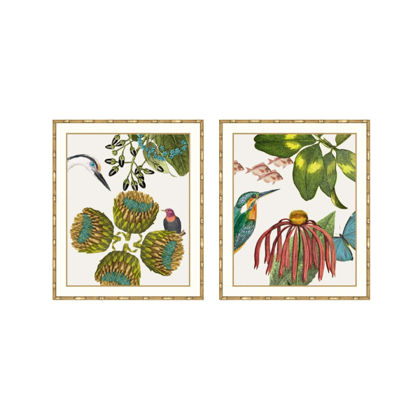 A pair of framed botanical art prints featuring vintage-style illustrations of birds, green seed pods, leaves, and a coneflower on an off-white background with thin gold-toned borders.