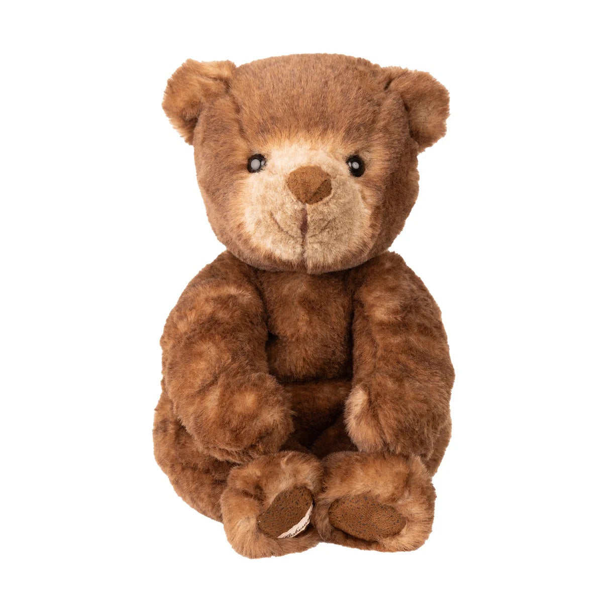 Brown teddy bear on a white background
