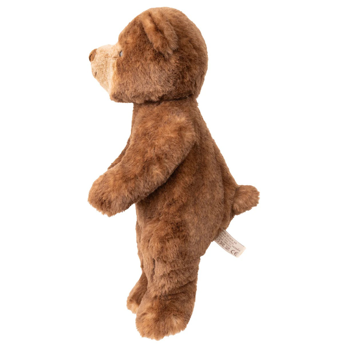 Brown teddy bear on a white background