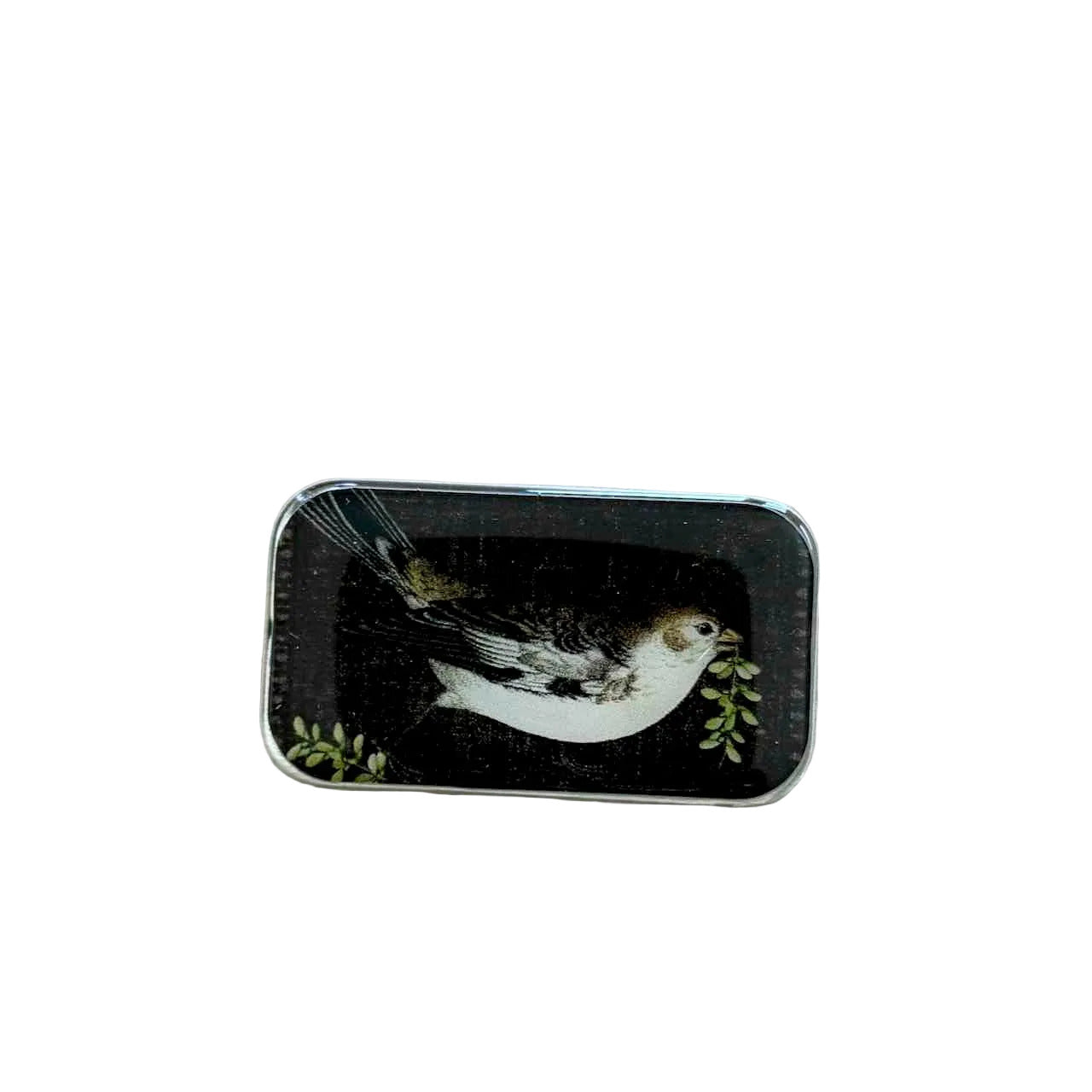 A rectangular tin with rounded corners, featuring a vintage-style bird illustration on a black background with green leaves, placed on a light wood surface.