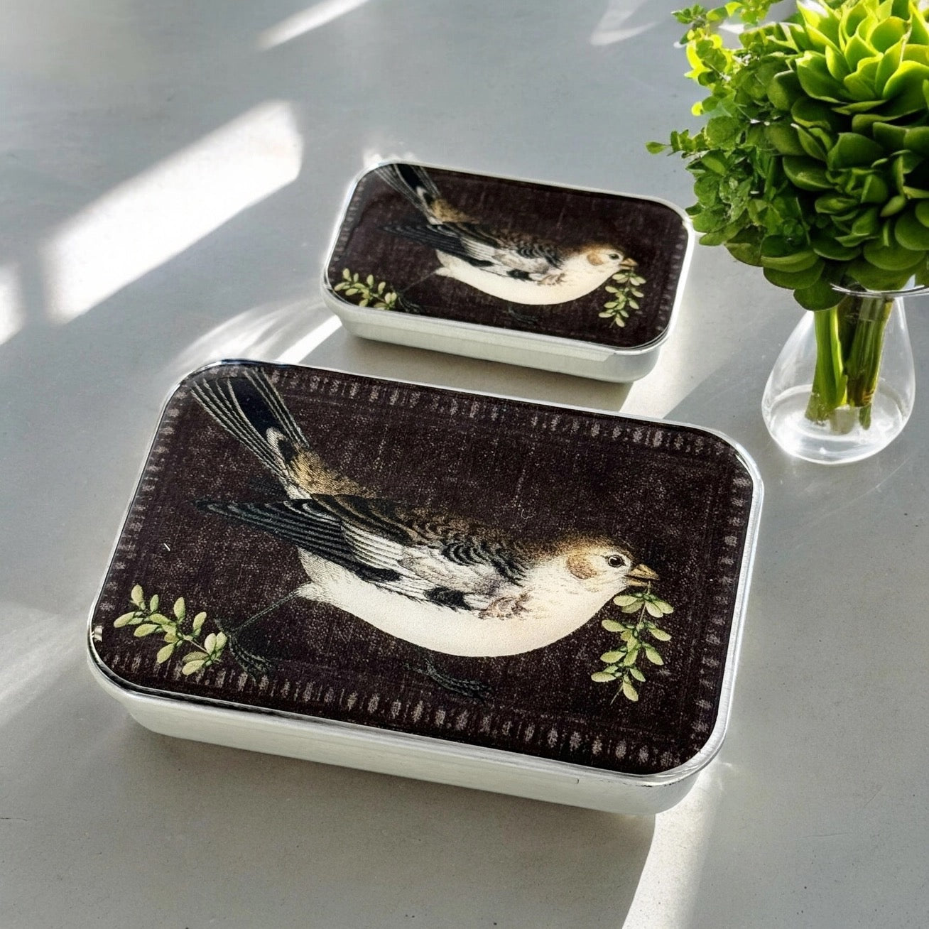 Two rectangular lidded containers with white bases and dark brown lids featuring a bird illustration and green leafy accents, styled on a light surface with a vase of green leaves nearby.
