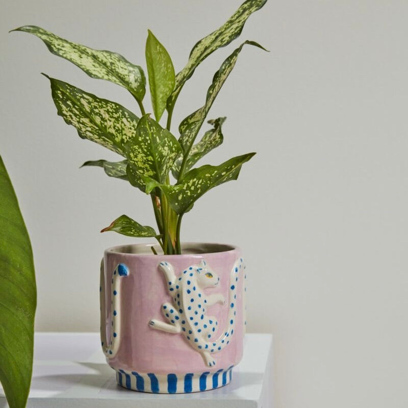 Pink ceramic planter with decorative animals and a green plant on a white surface.