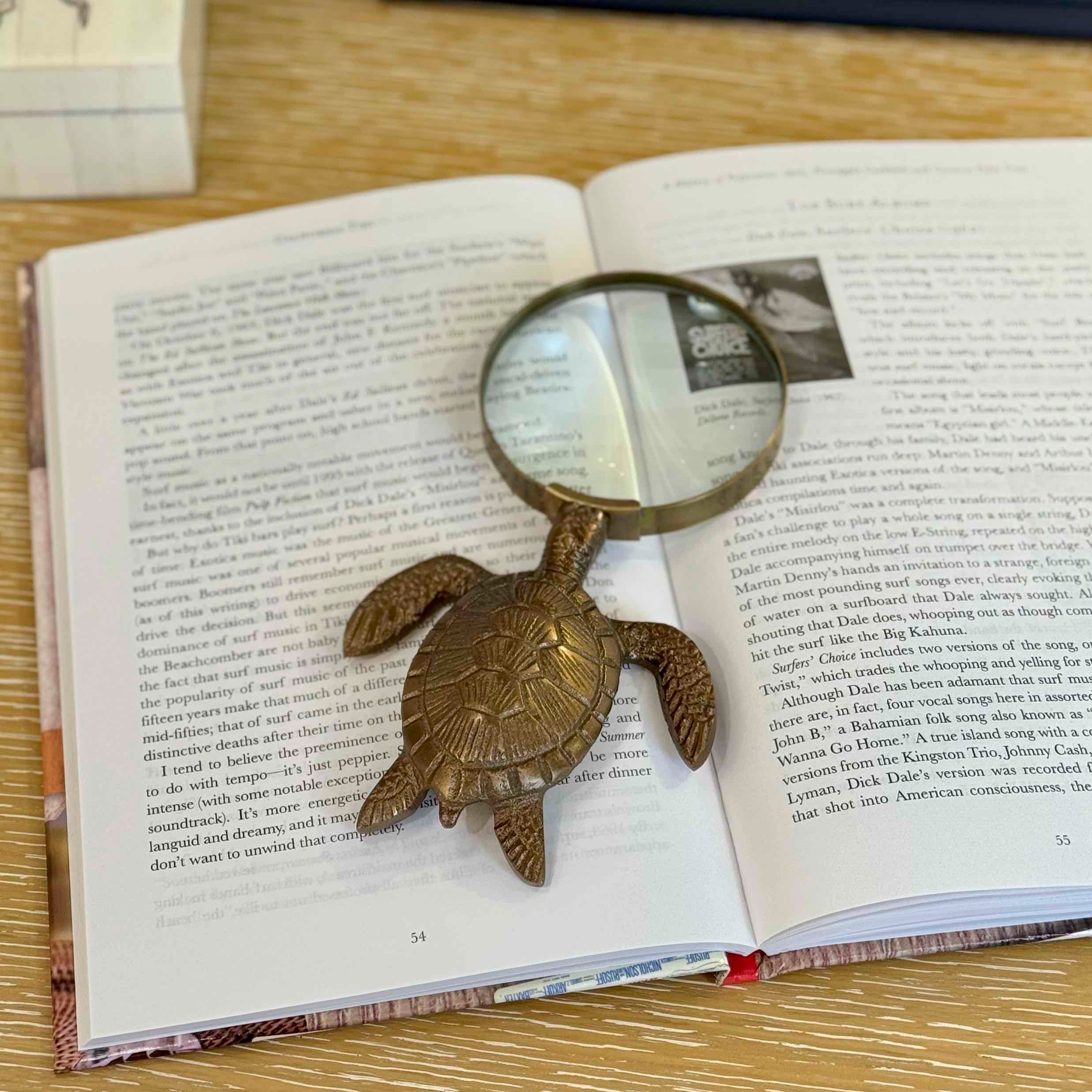 Tortoise-shaped magnifying glass on an open book