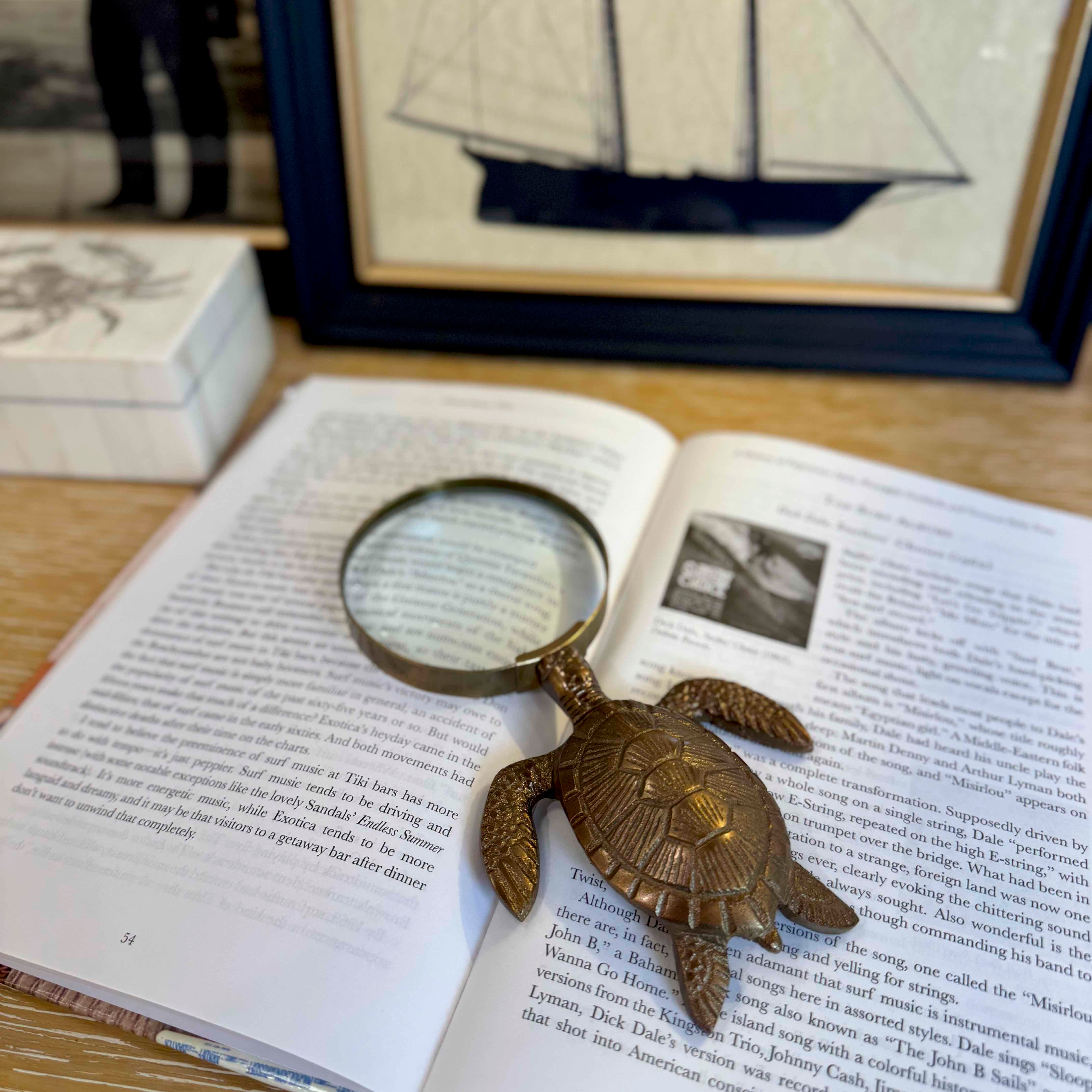 Tortoise-shaped magnifying glass on an open book with a framed picture of a ship in the background.