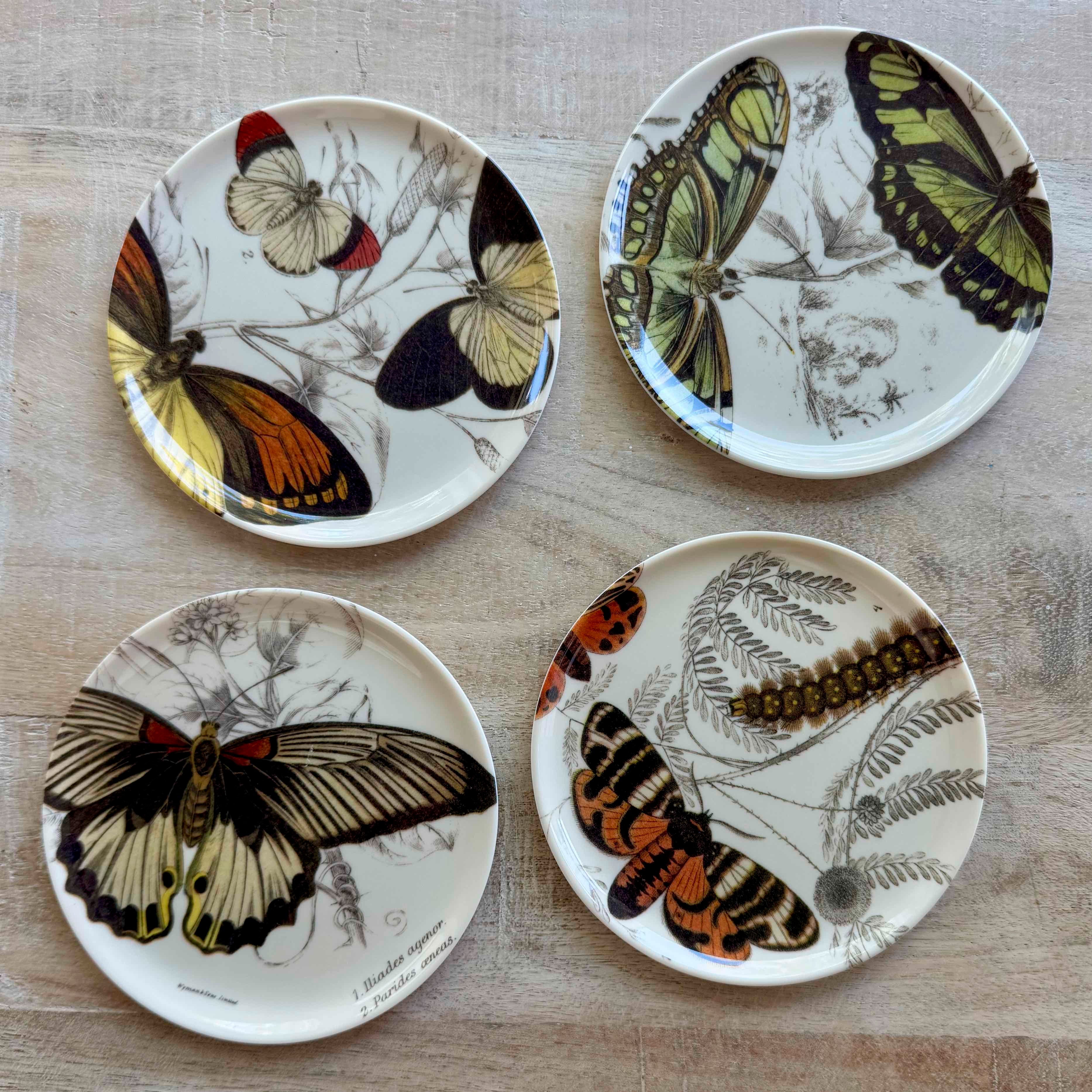 Butterfly Coasters - Set of 4