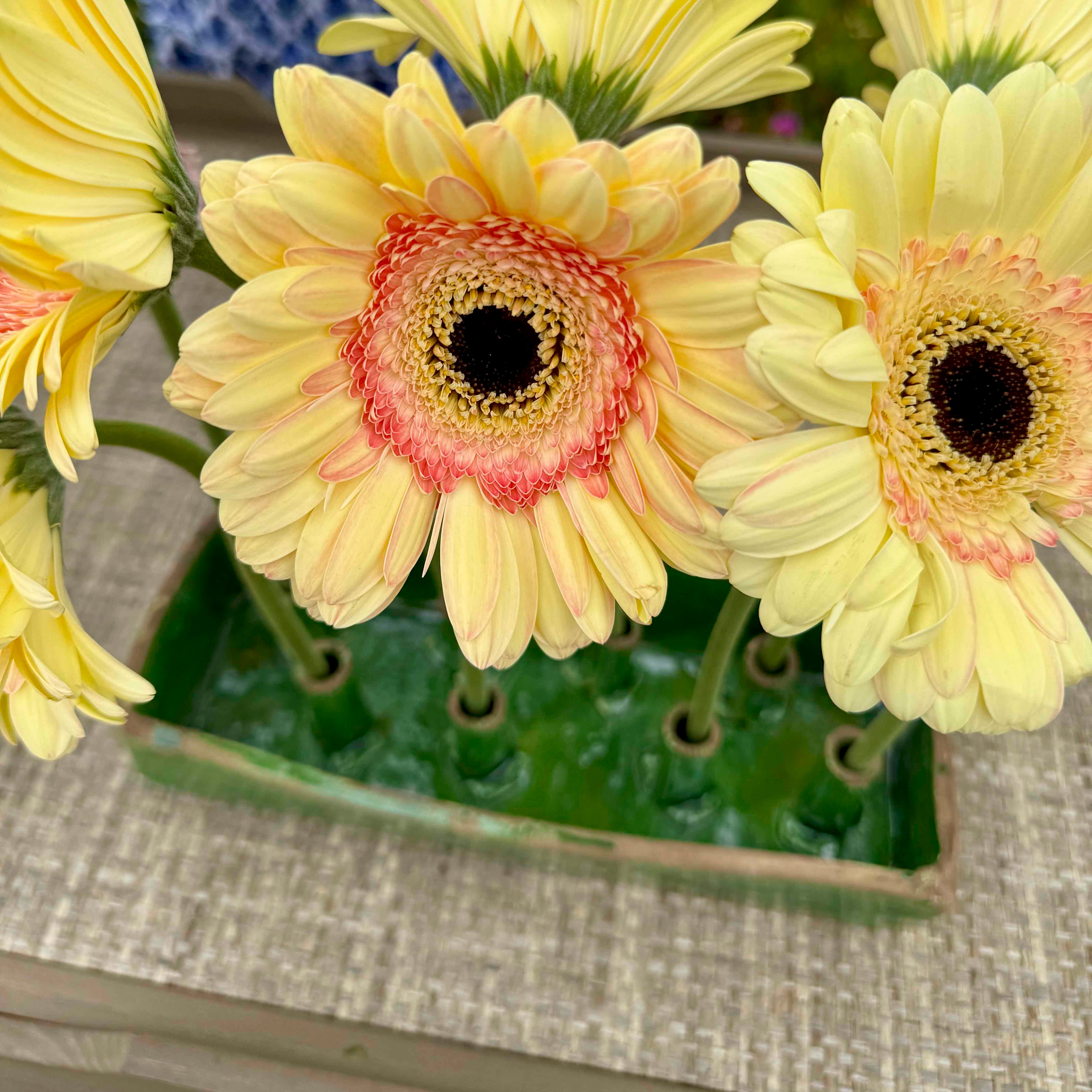 Ceramic Canoe in Green