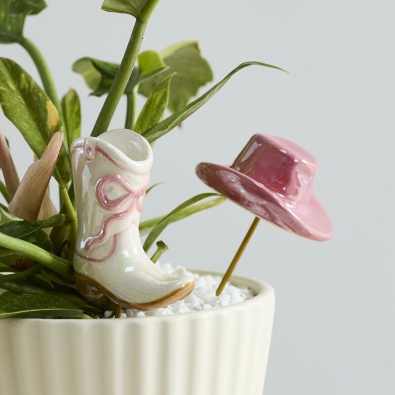 Decorative plant with ceramic boot and hat on a white background