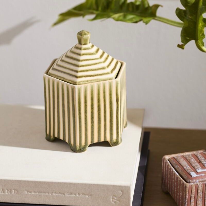 A small lidded ceramic container with vertical ribbing and a pointed top, shown on stacked books in a styled interior setting with a plant leaf in the foreground.