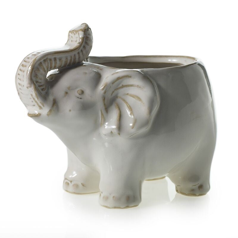 Ceramic elephant planter on a white background