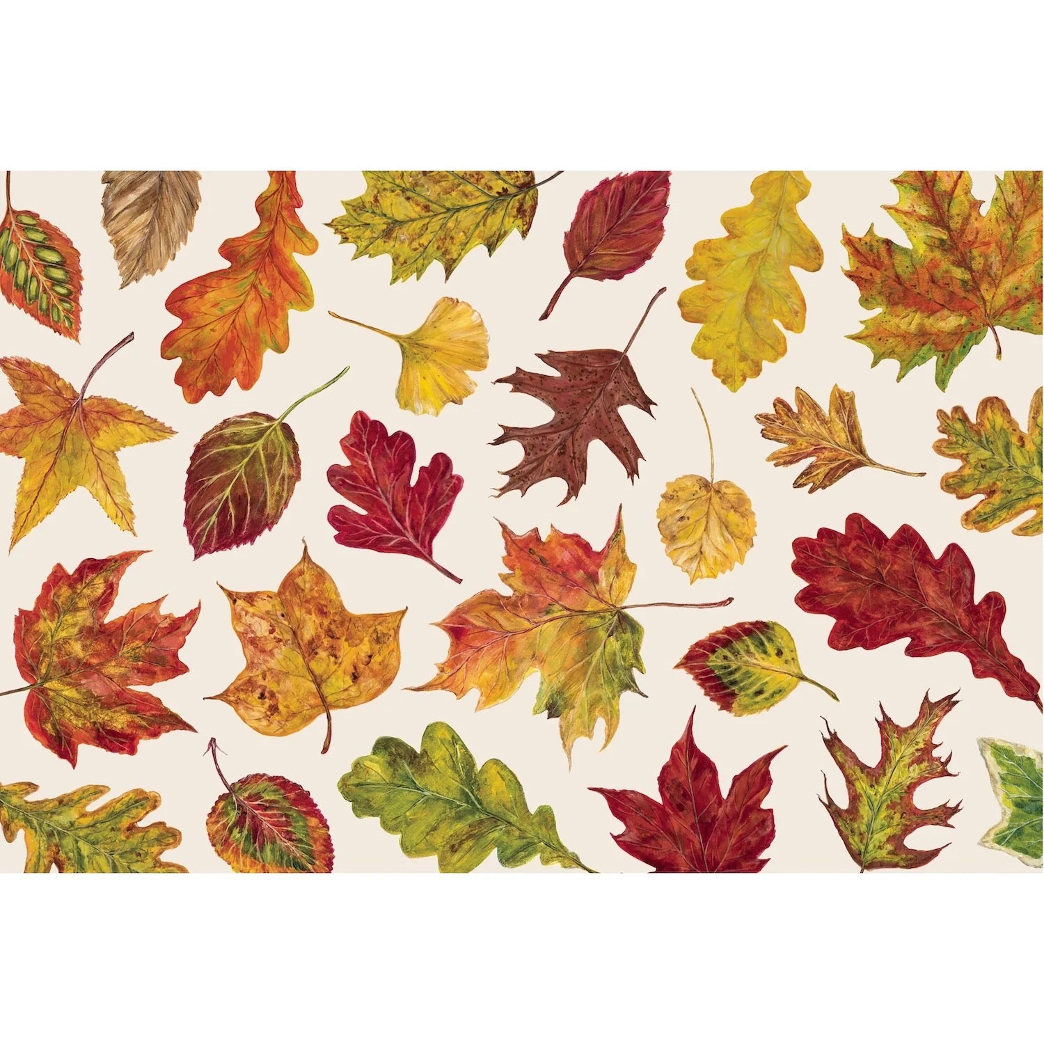 Fall Foliage Placemat - Pack of 18