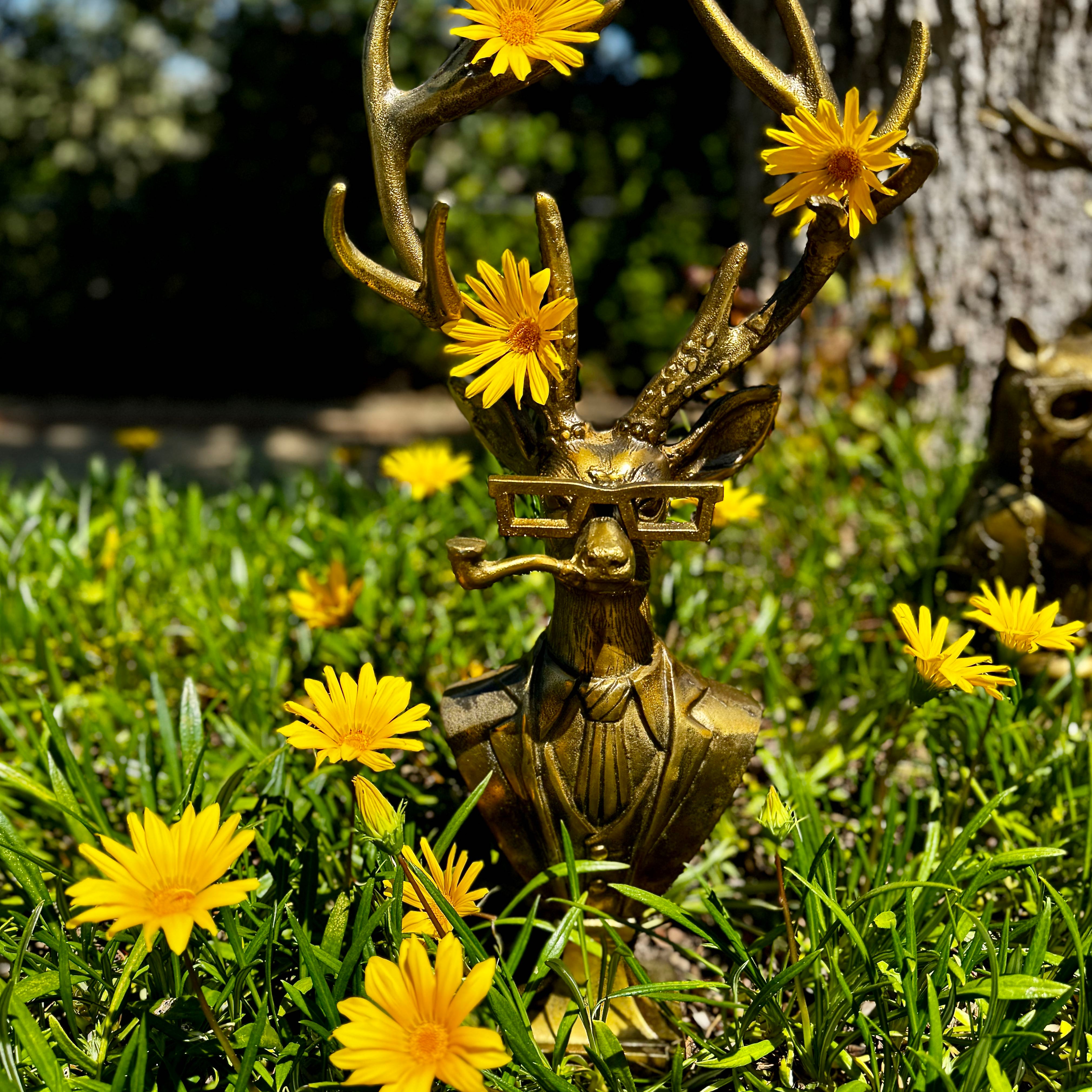 Frankie The Stag Bust