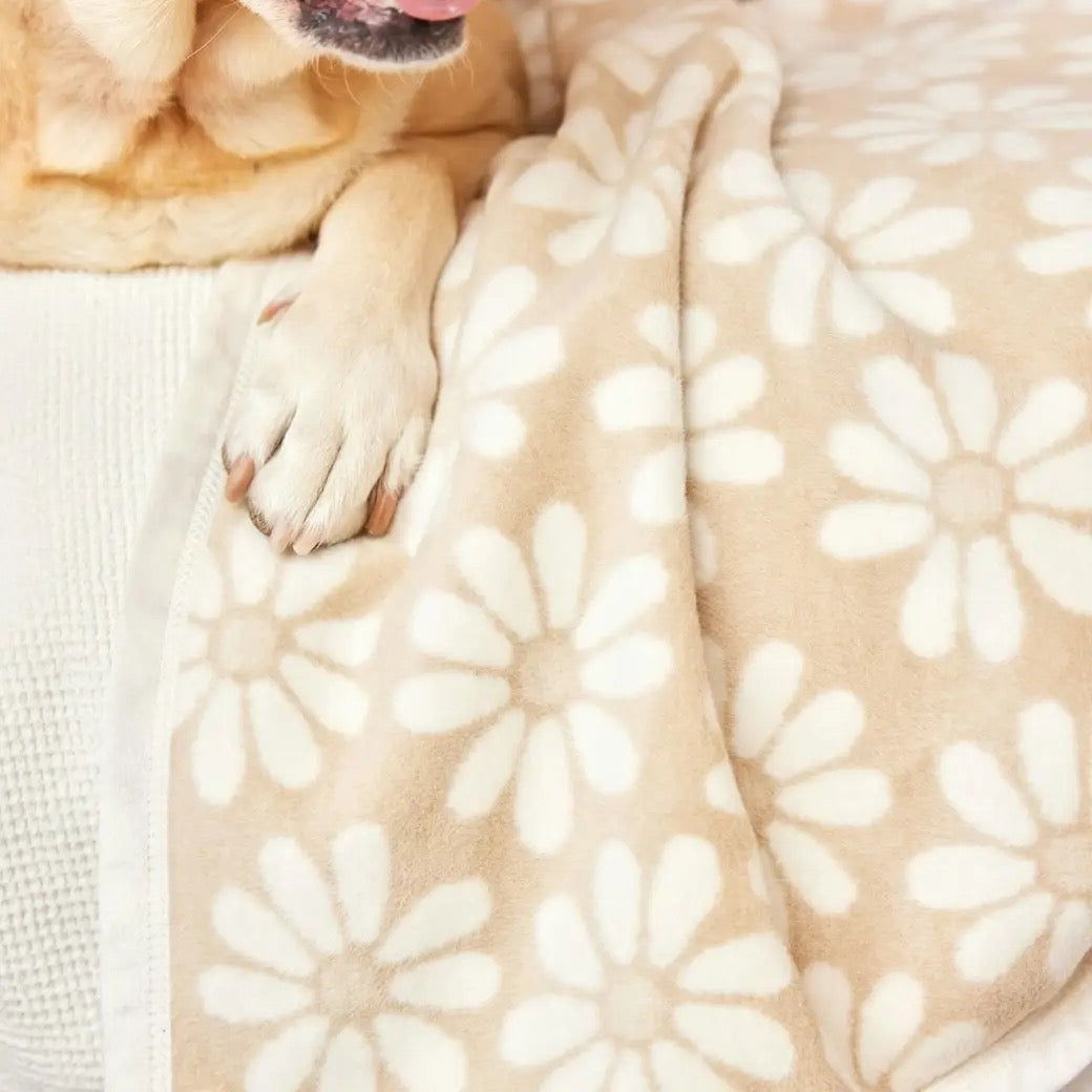 Fresh As A Daisy Wheat Midi Blanket