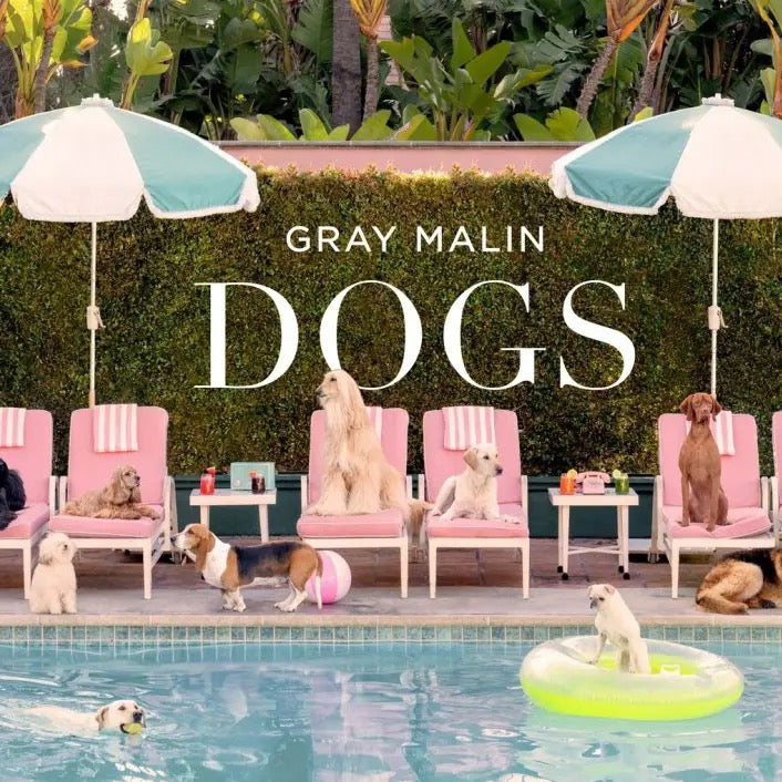 Book cover of 'DOGS' by Gray Malin featuring dogs around a pool with umbrellas and chairs.