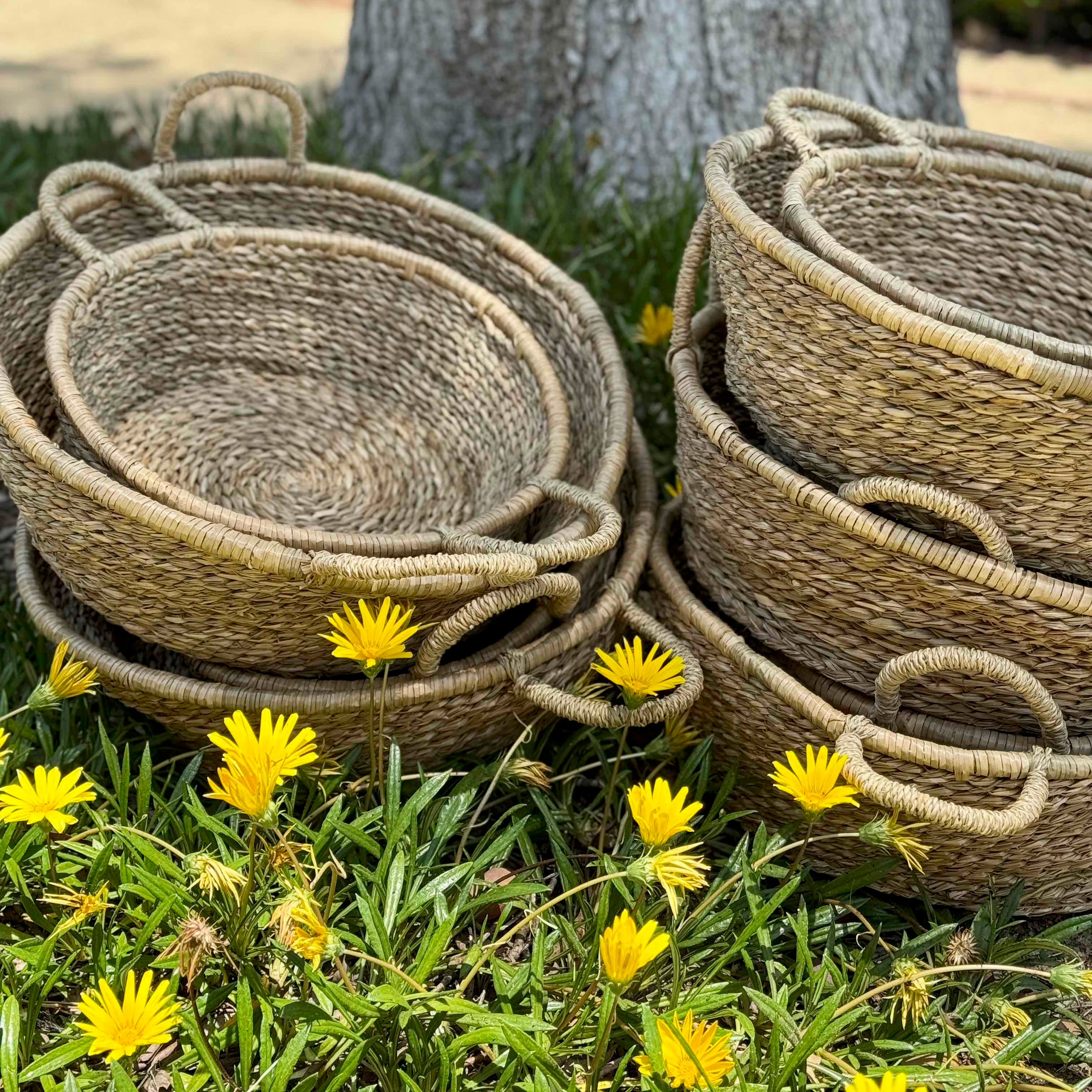 Harvest Baskets