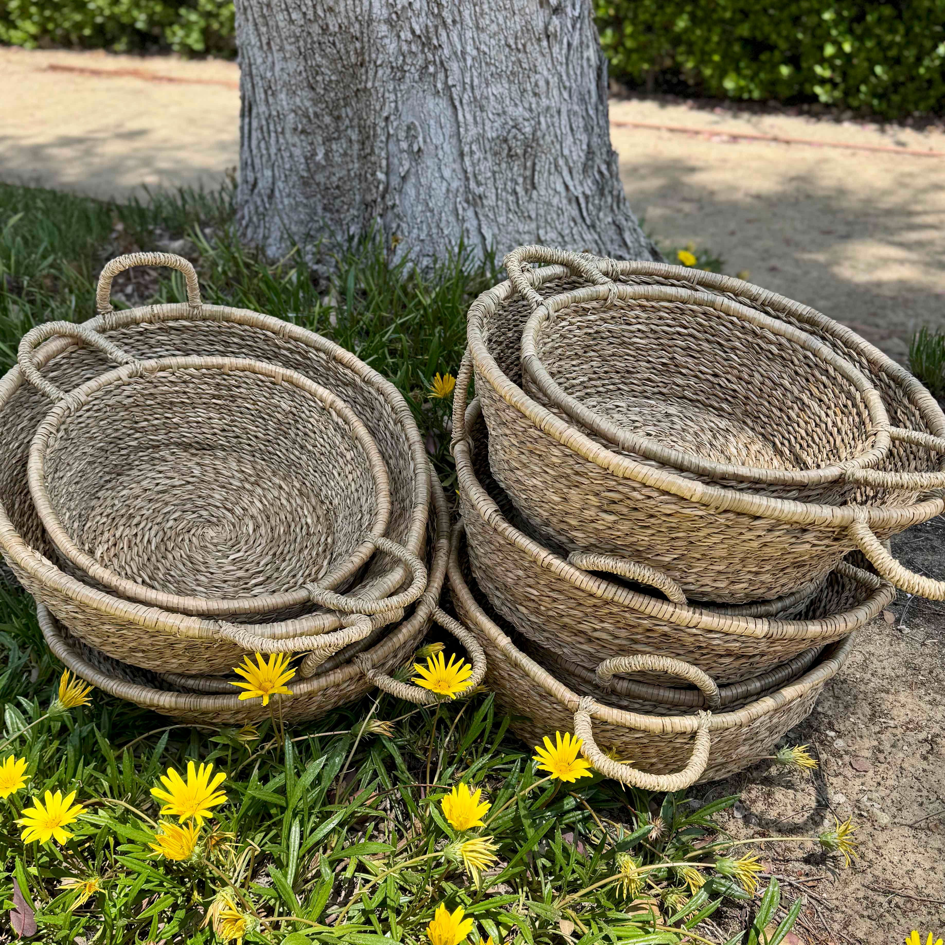Harvest Baskets