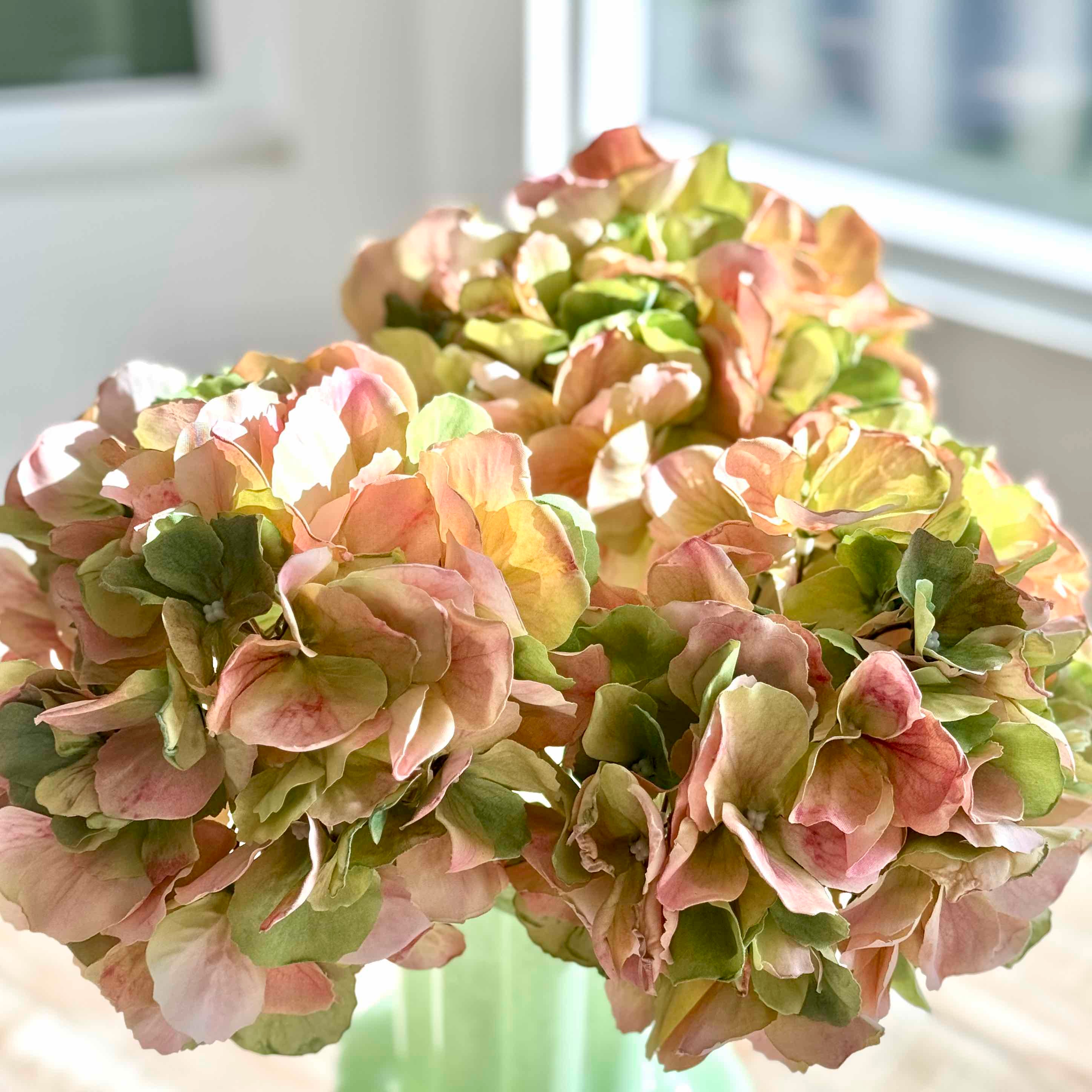 A close-up of dried or wilting hydrangea blooms in soft pink and green tones, arranged in a pale green vase near a bright window.