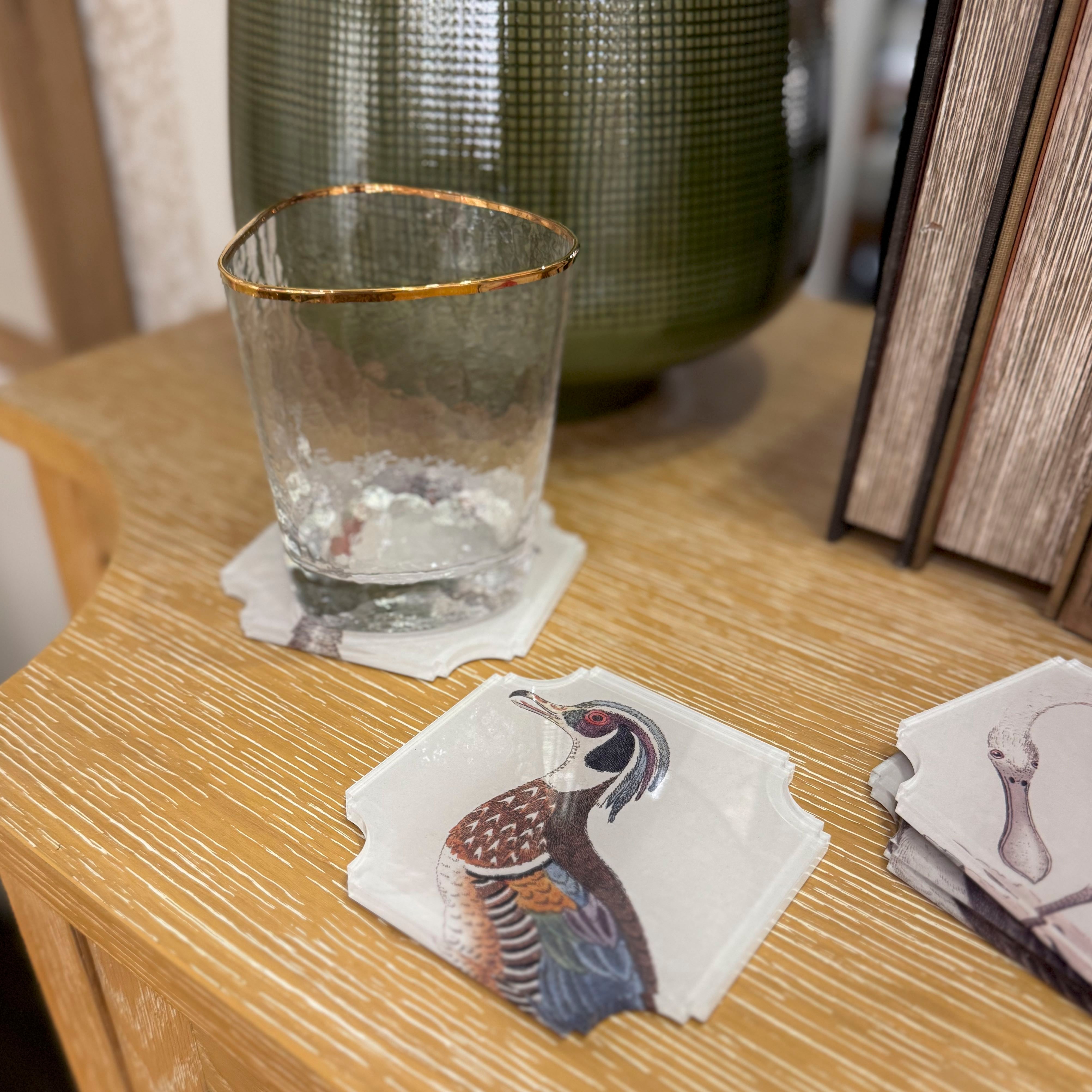 Bird Print Coasters - Set of 4
