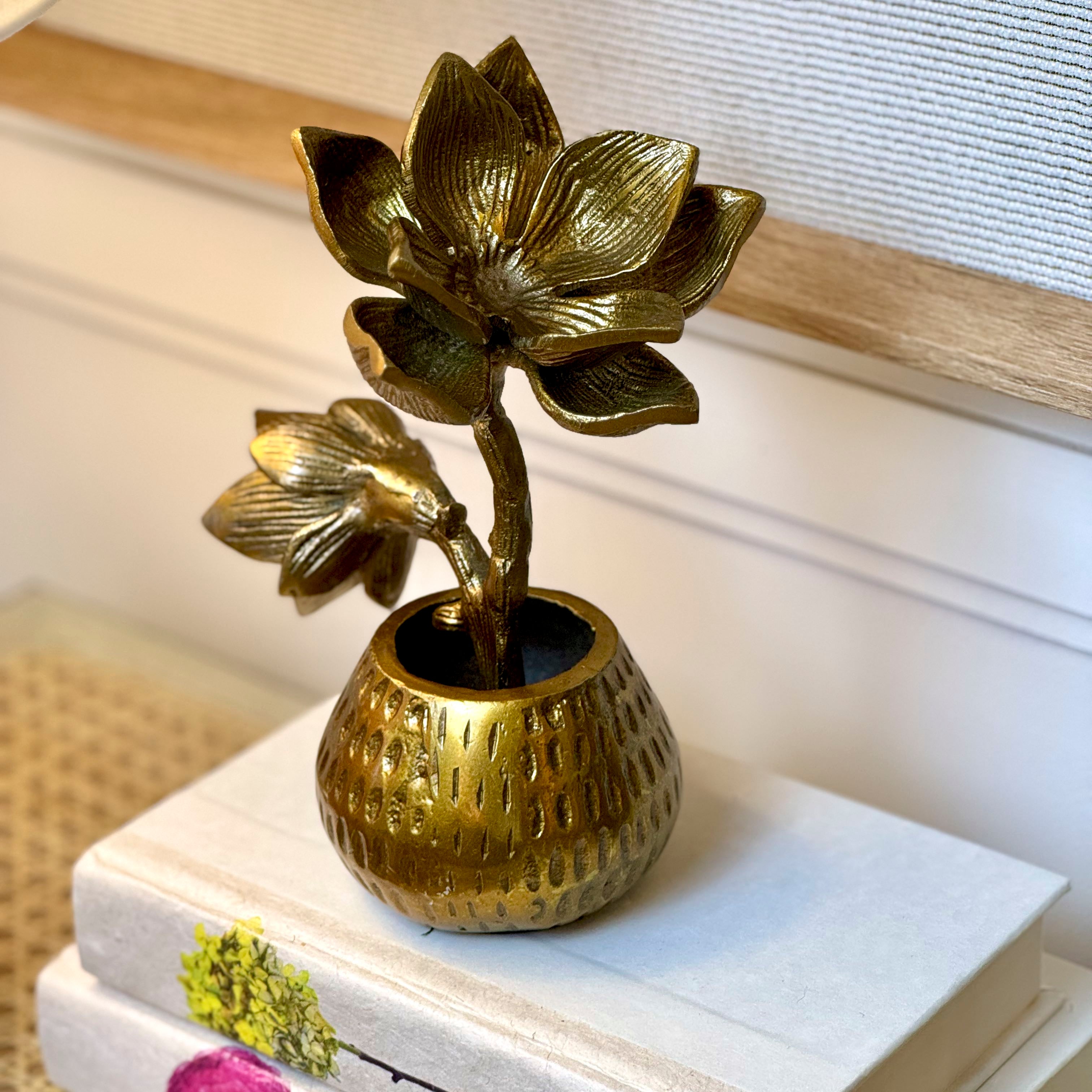 Magnolia Budvase Short