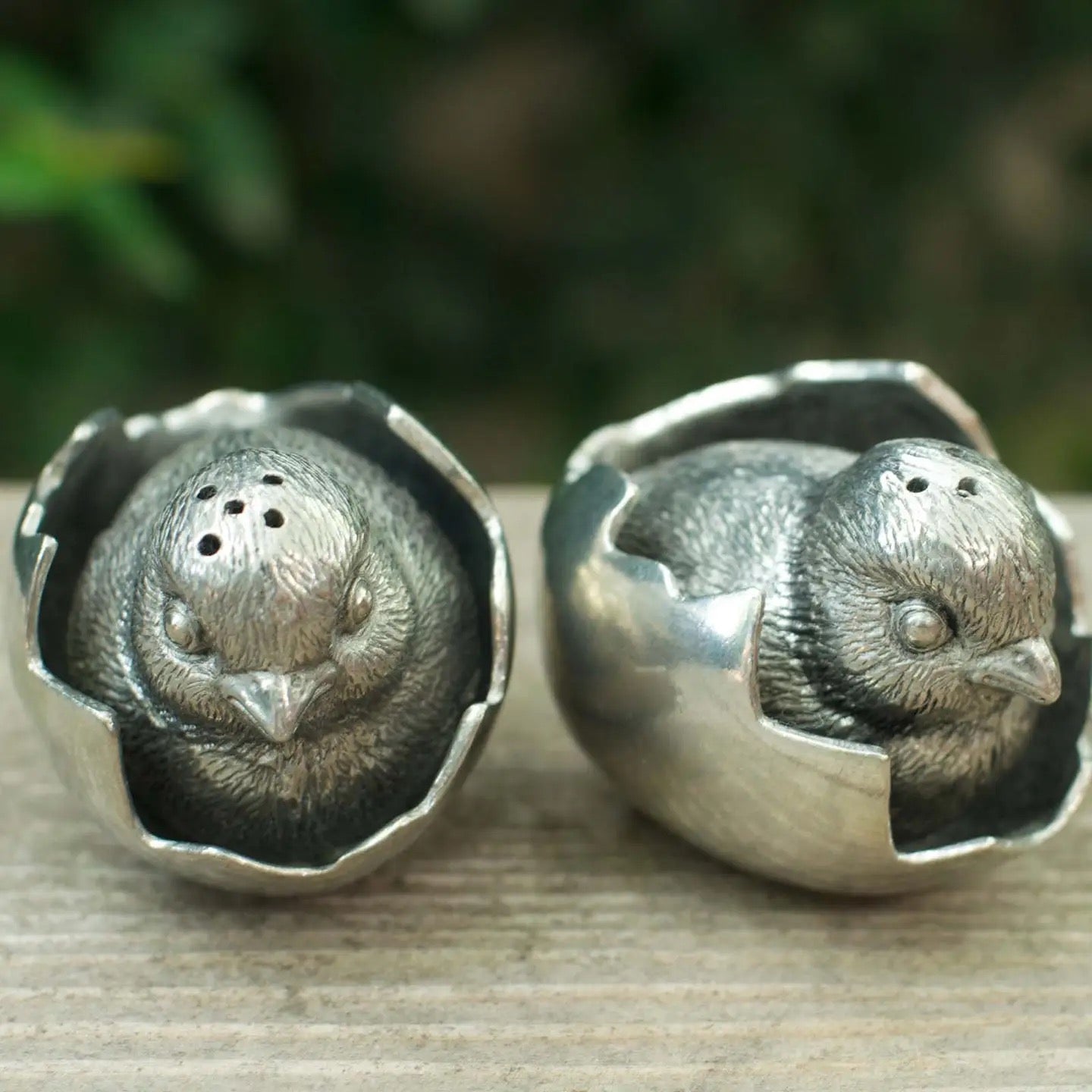 Hatched Chicks Salt & Pepper