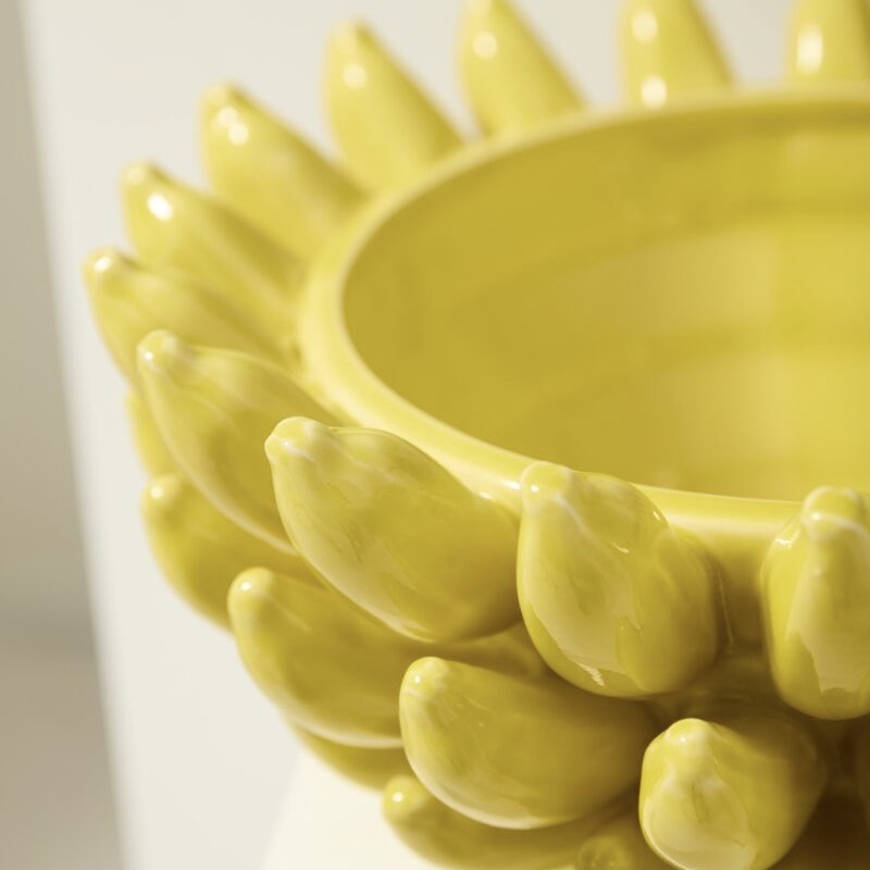 Banana Bowl
