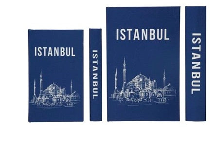 Istanbul Blue Storage Books - Set of 2
