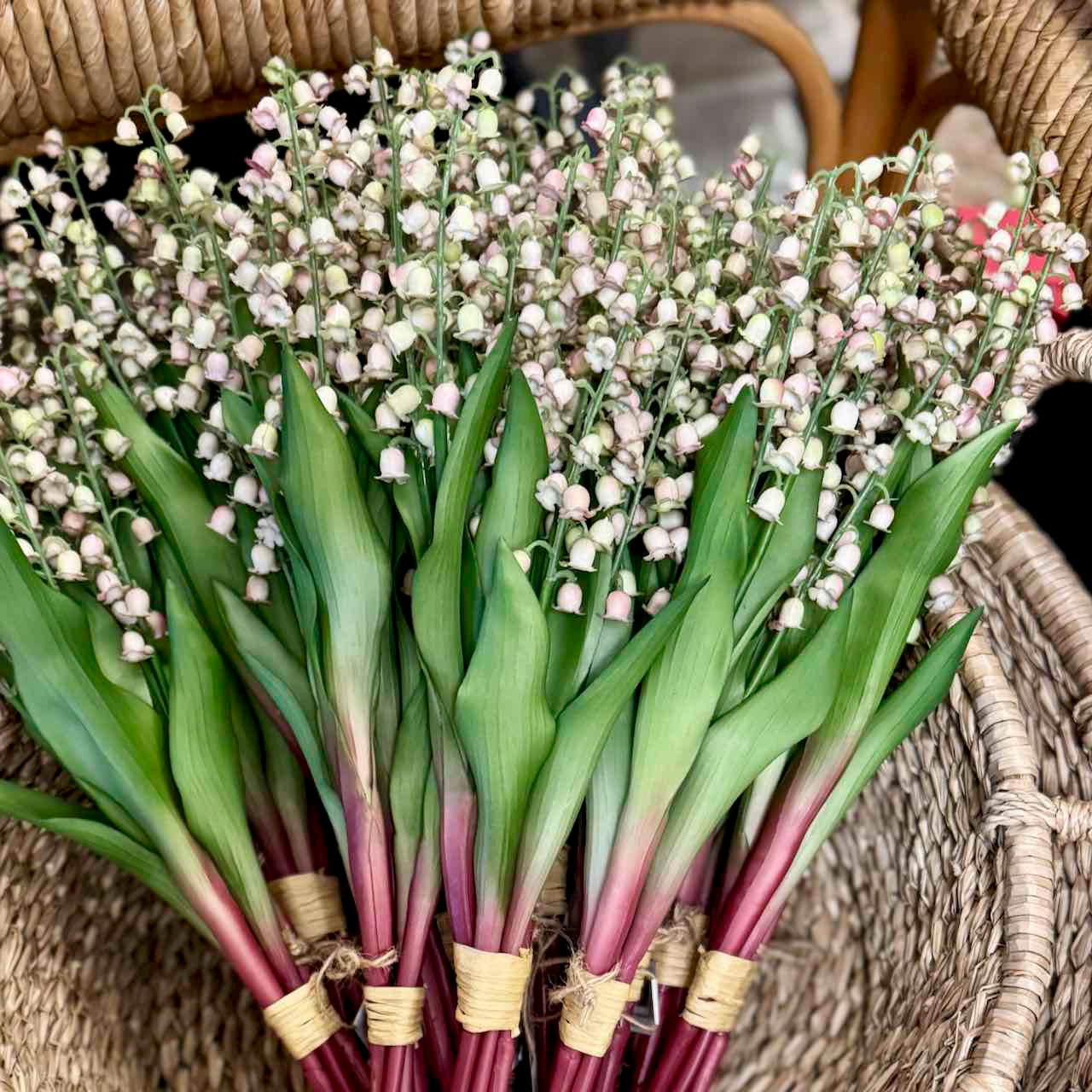 Lily of the Valley Bunch
