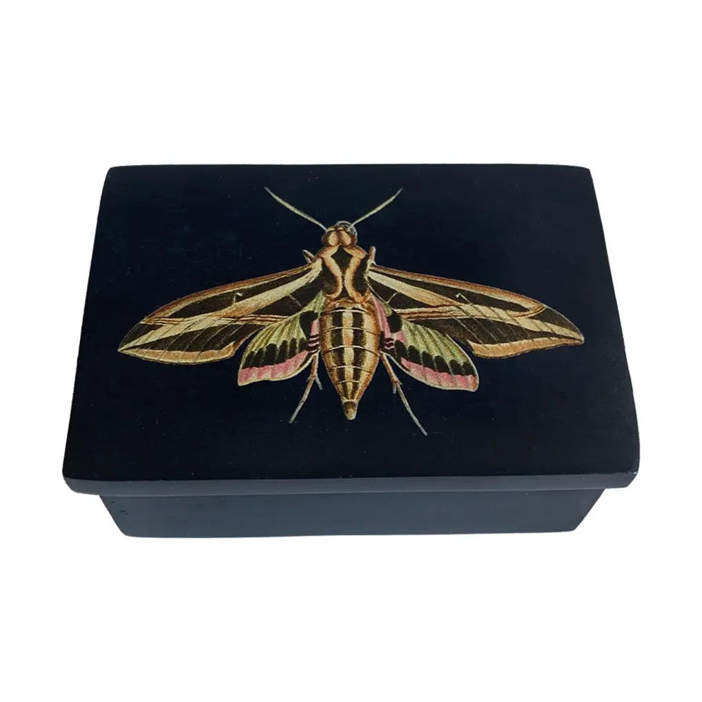 Black box with a moth design on a white background