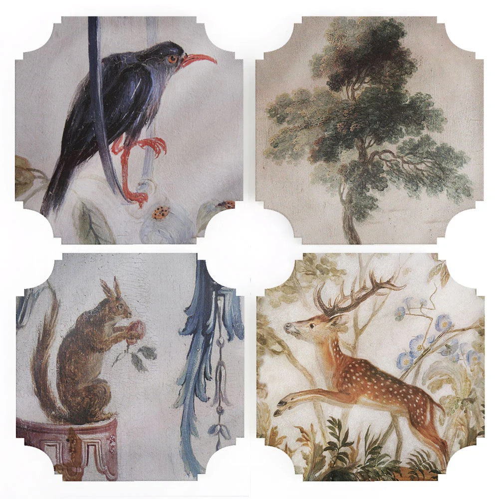 Mystic Grove Coasters - Set of 4
