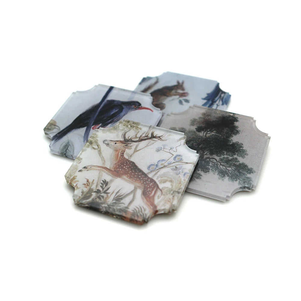Mystic Grove Coasters - Set of 4