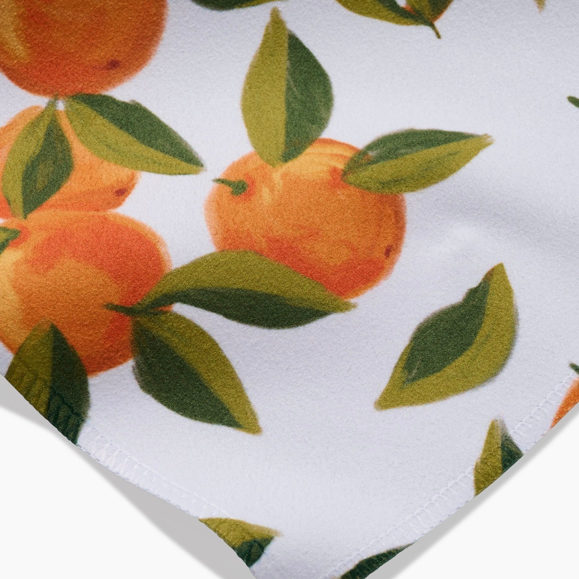 Orange Orchard Dinner Napkins - Set of 6