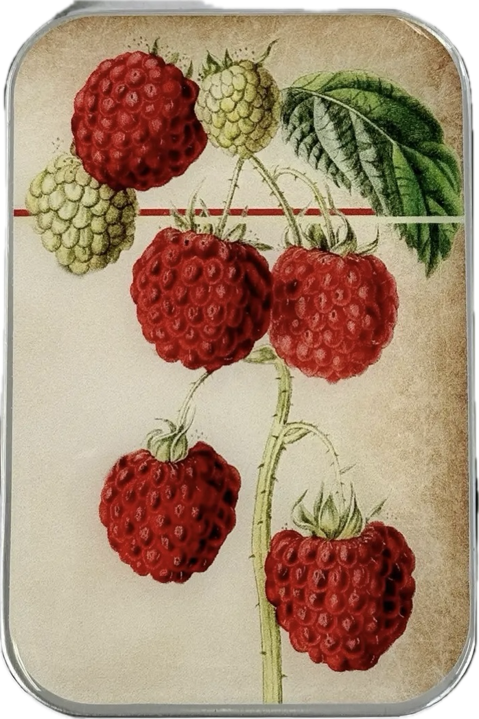 Raspberry Notions Tin