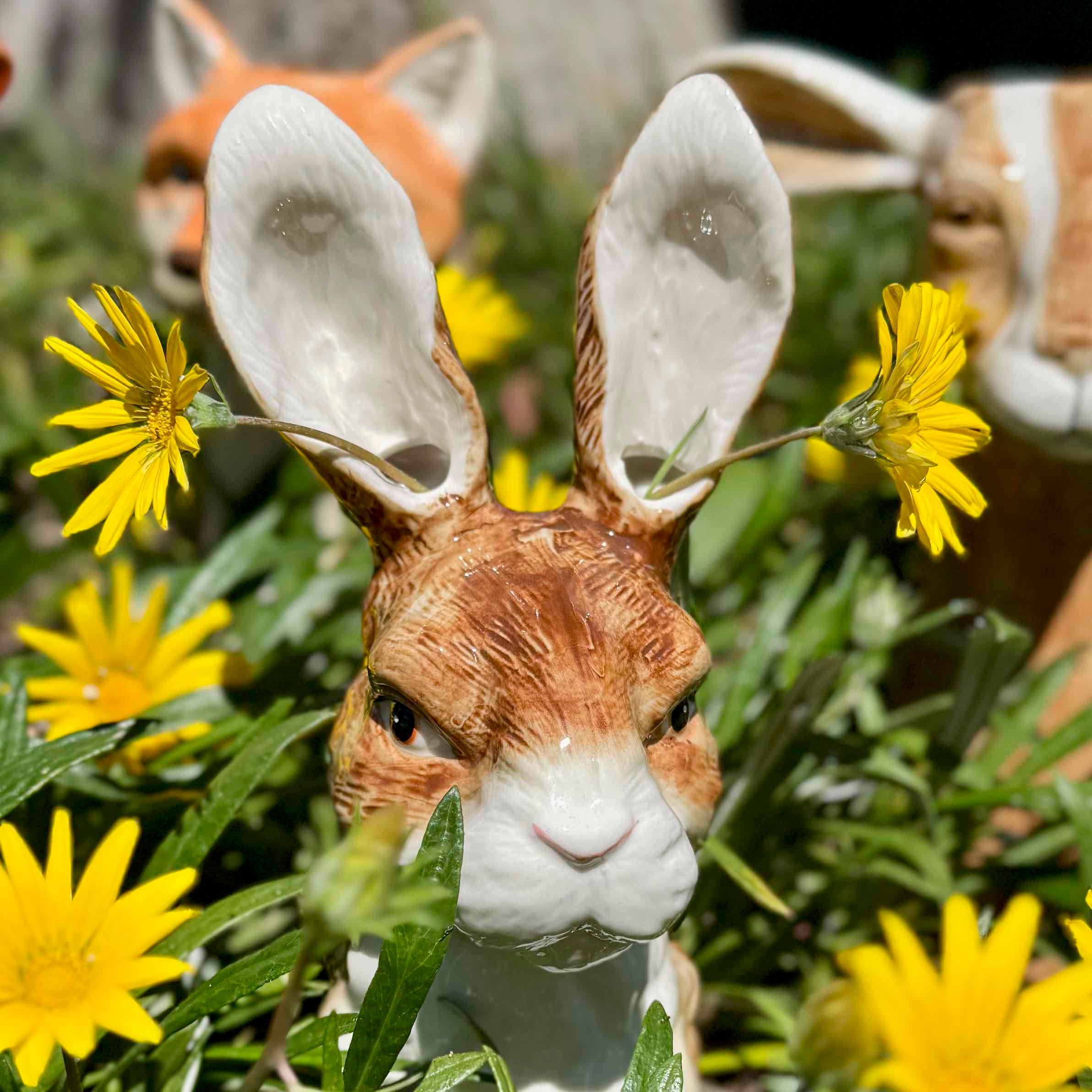 Ronnie the Rabbit Vase