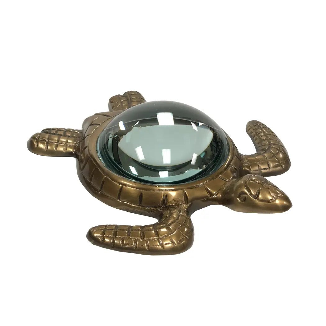 Sea Turtle Magnifier