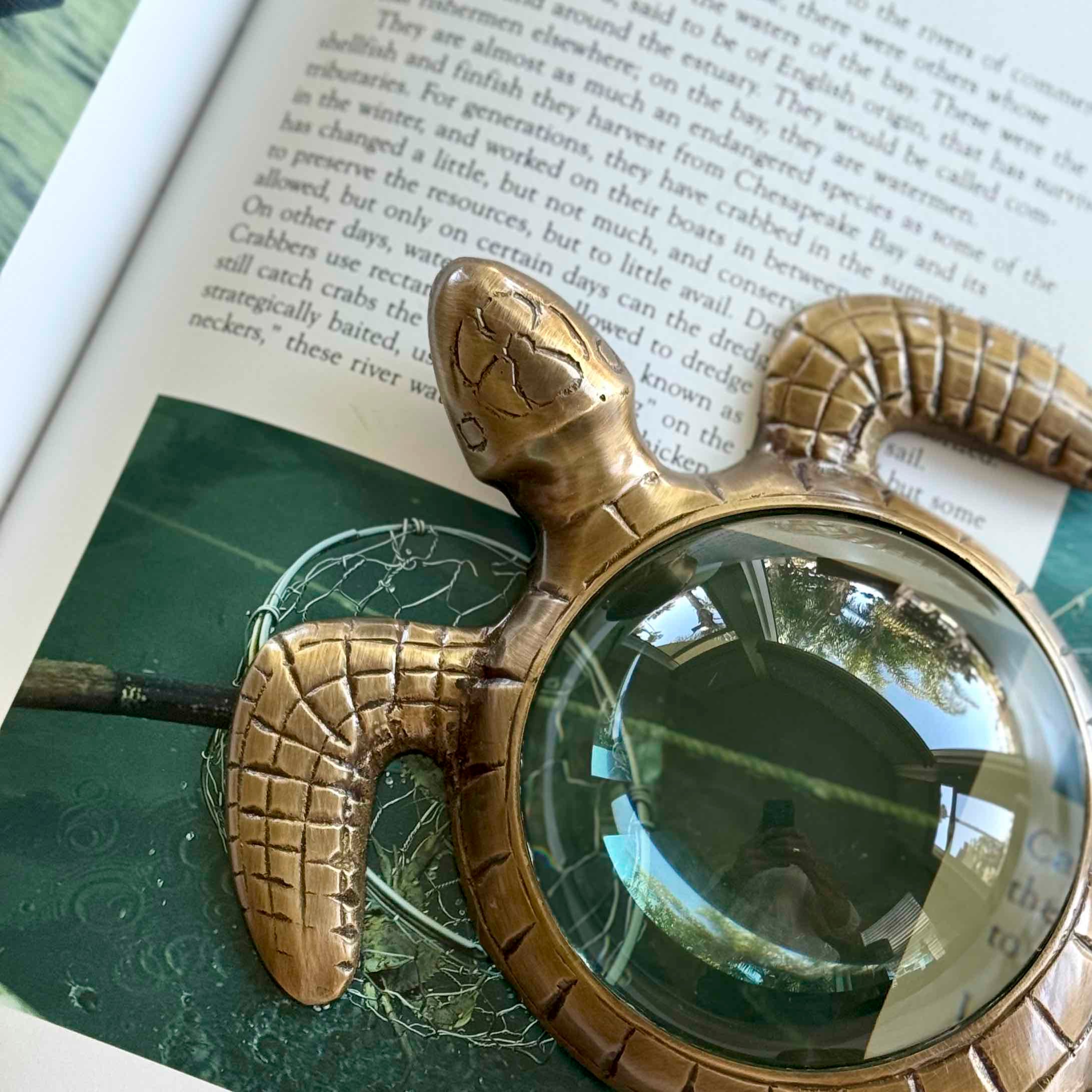 Sea Turtle Magnifier