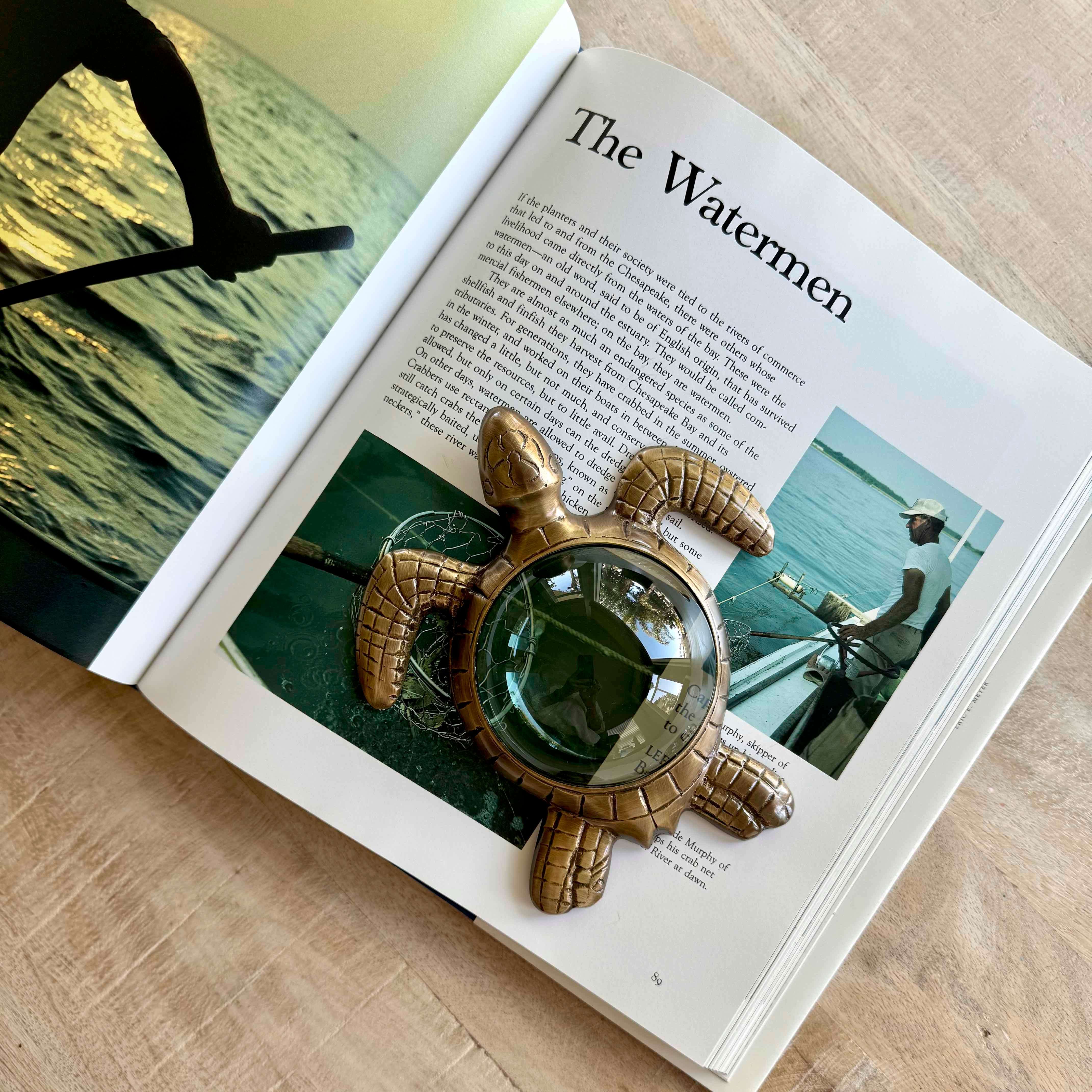 Sea Turtle Magnifier