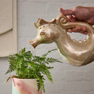 Person using a seahorse-shaped ceramic watering can to water a plant.