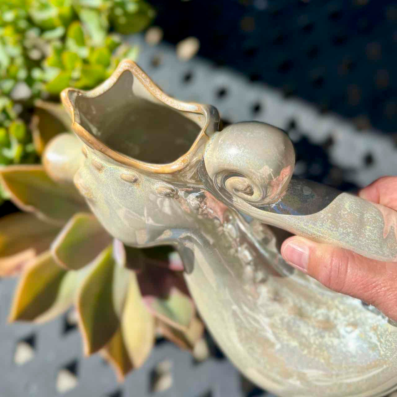 Seahorse Watering Pitcher