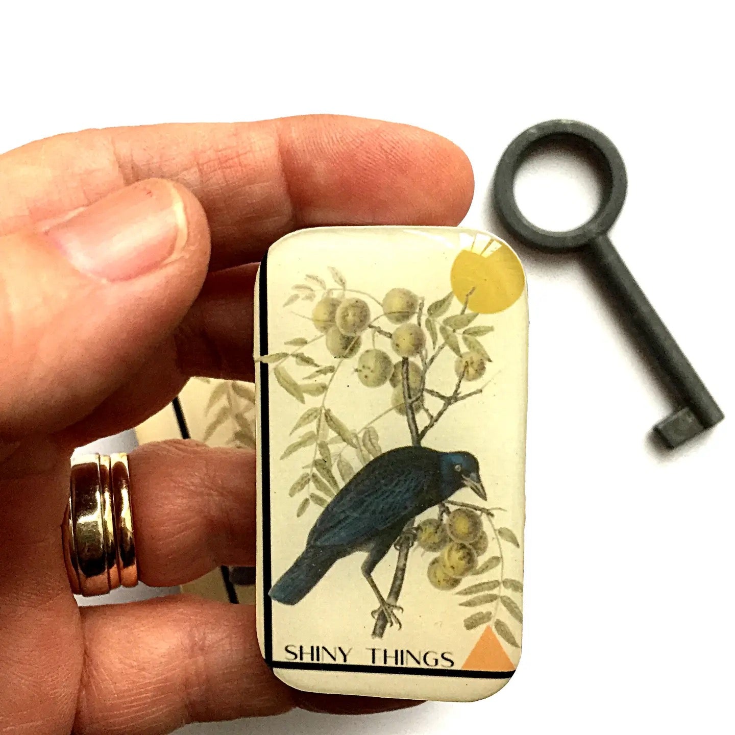 Small rectangular container with bird illustration held by a hand, next to a black key on a white background.
