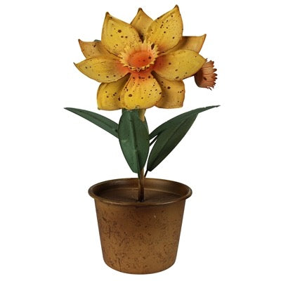 Decorative potted plant with yellow flower and green leaves on a white background