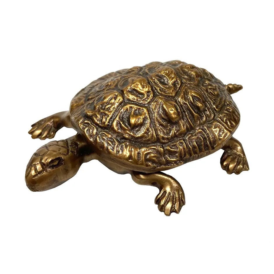 Bronze turtle figurine on a white background