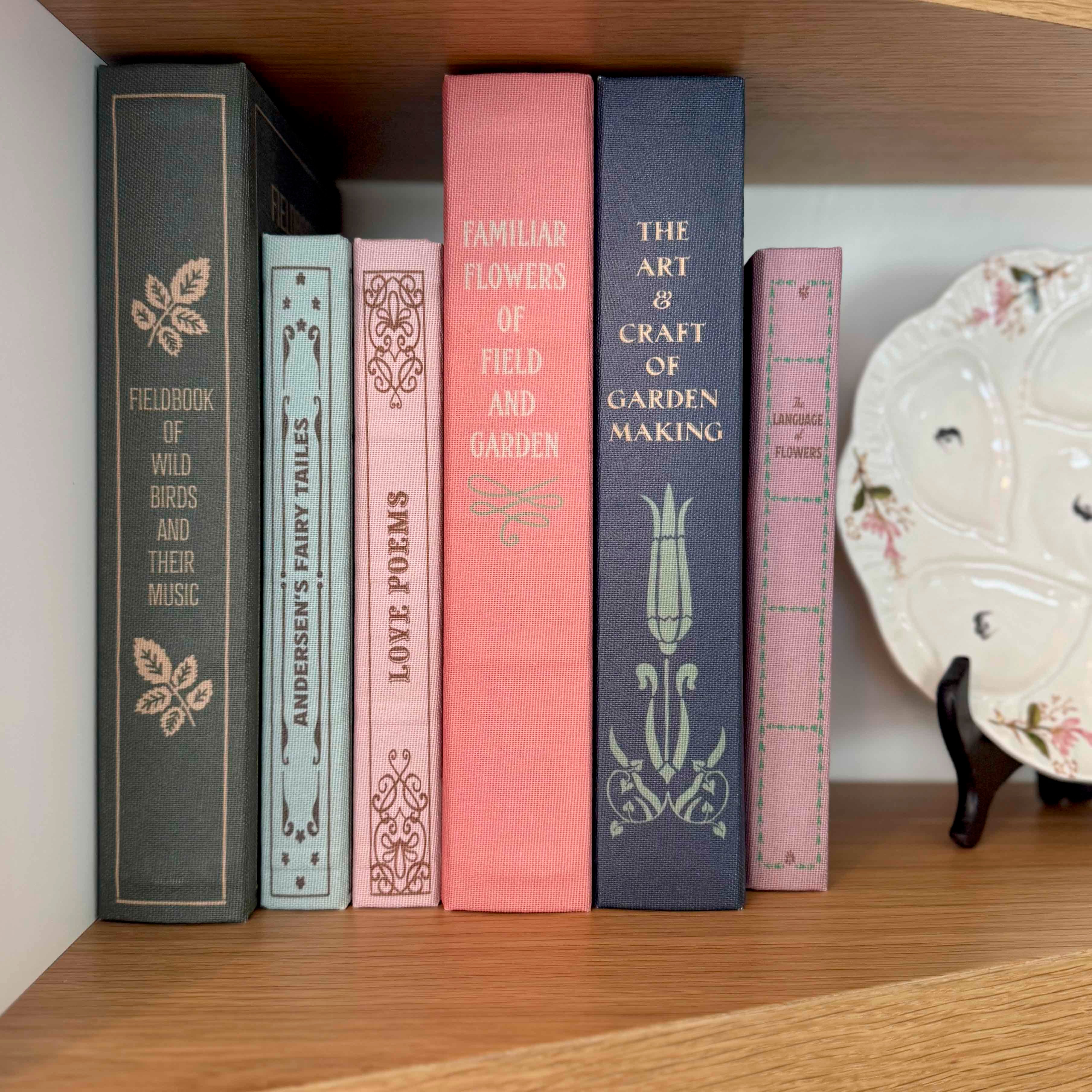 Row of books on a wooden shelf with decorative plates in the background