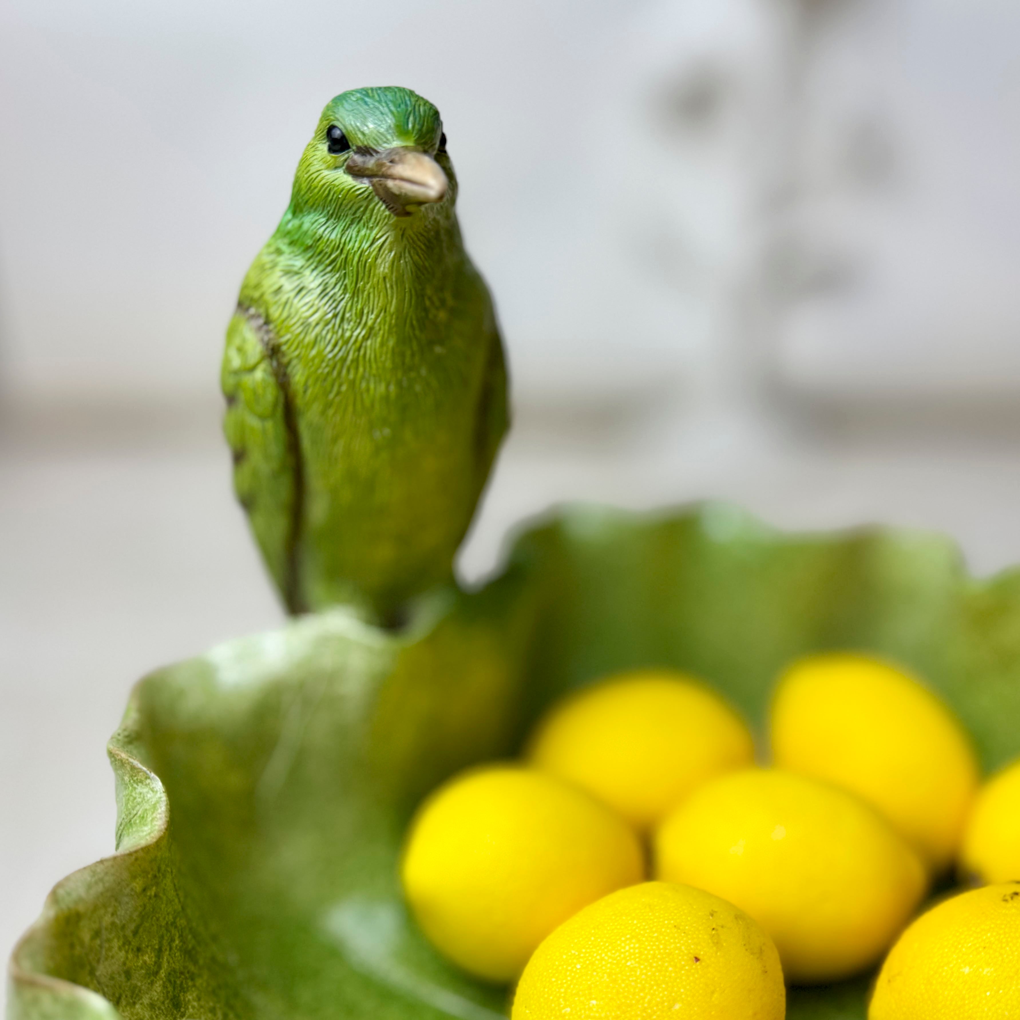 Green Leaf Bowl with Bird