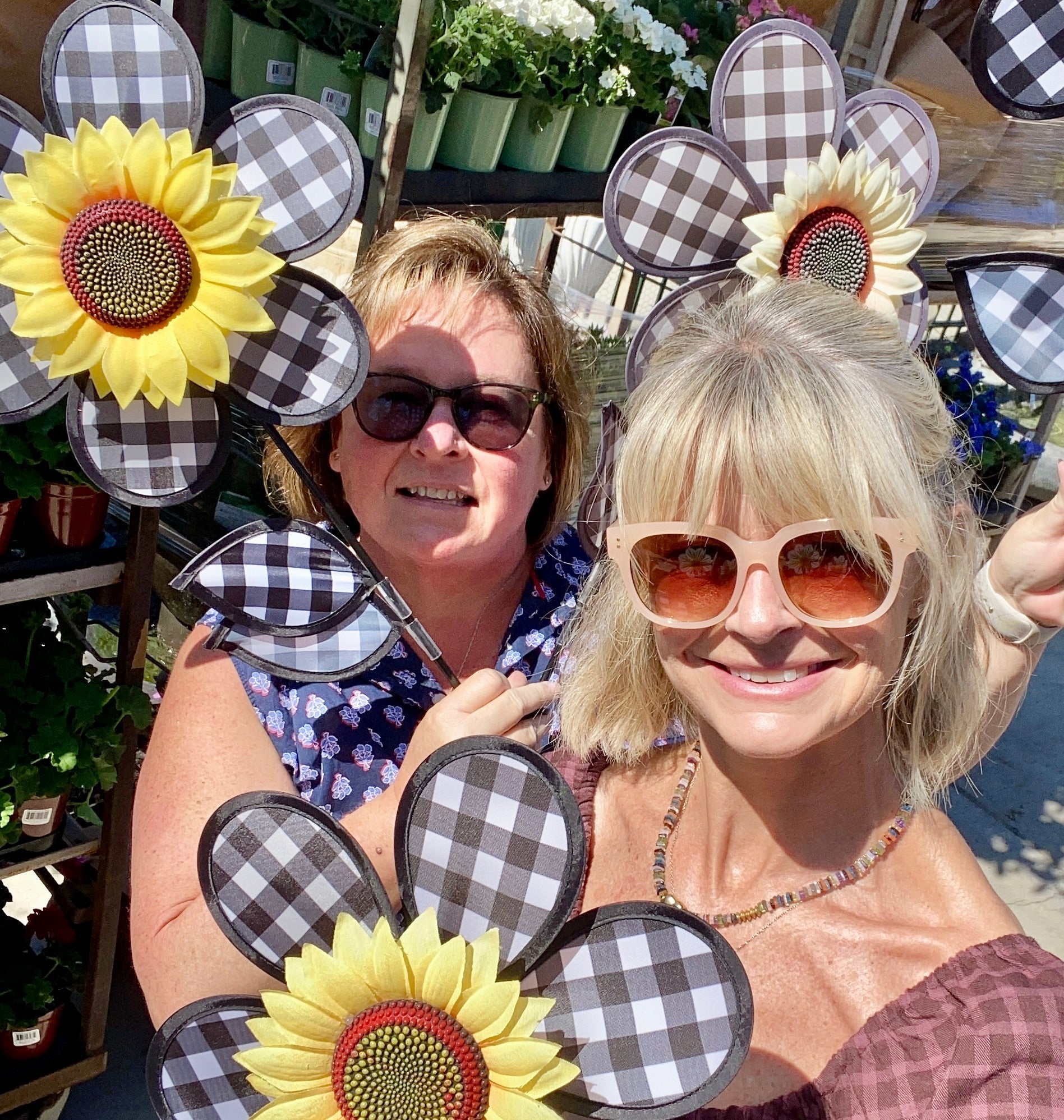 In Praise of the Sunflower: A Golden Icon of Joy, History, and Light