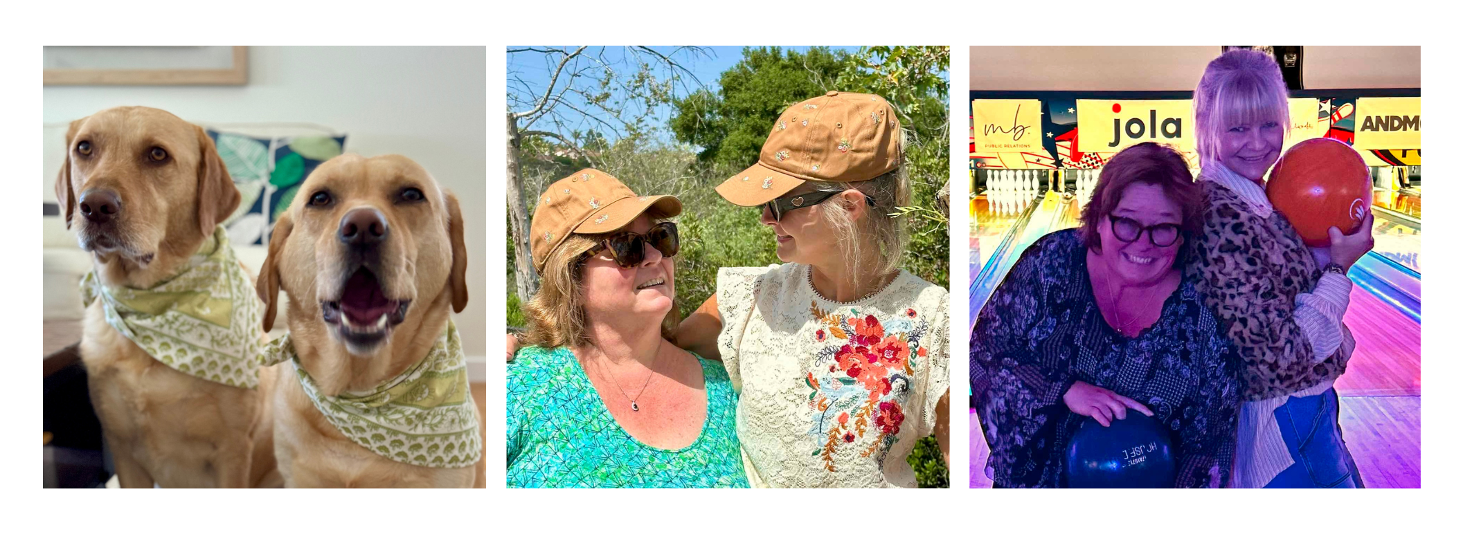 countryside picnic basket with citrine fig tablecloth and cabana tray