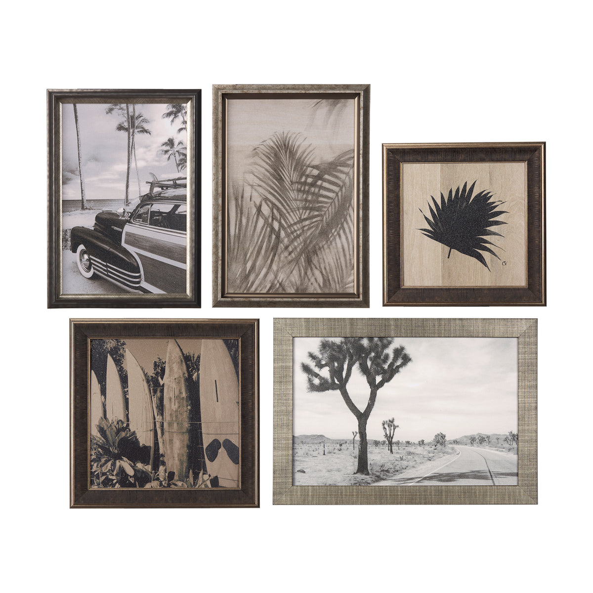 California Dreaming Wall Art Set of 5 Thomas Lee Living