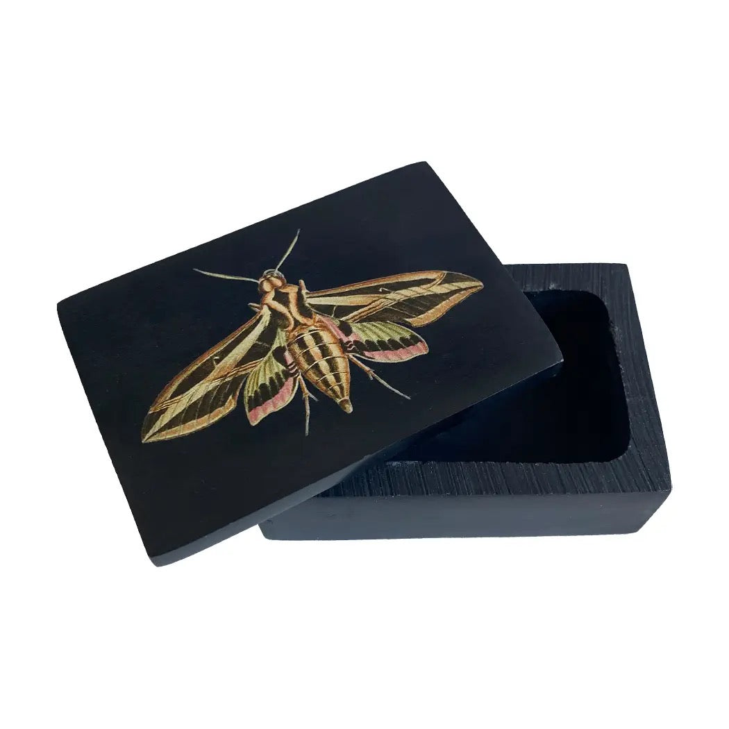 Black box with a moth illustration on a white background